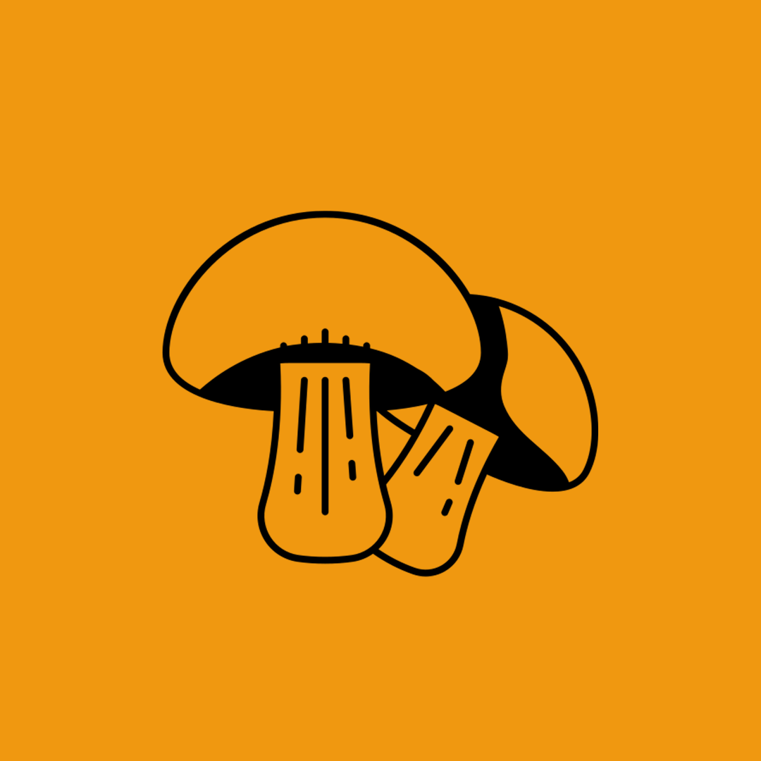 اضافات برجر